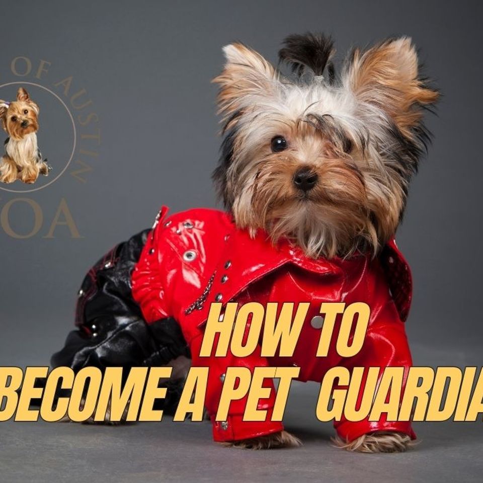 How to become a pet guardian thumb 