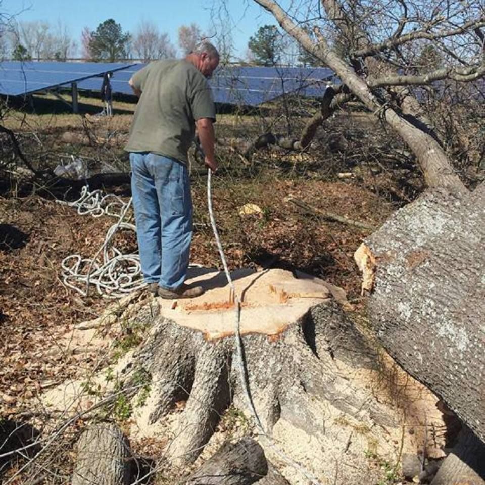 Carolina construction plus stump removal