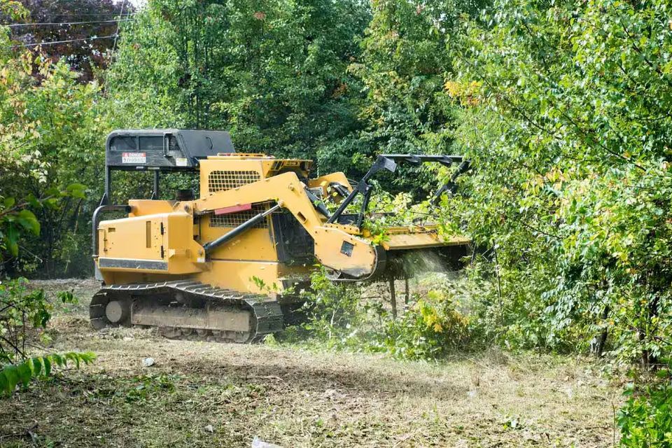 Forestry mulcher grinding up underbrush 536401280
