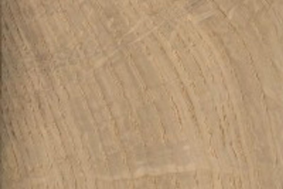 English oak s 200x200