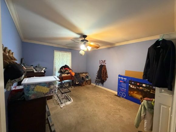 Img 2753