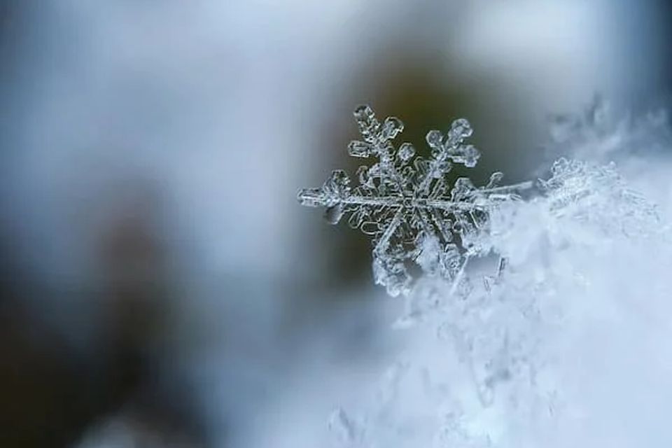 Snowflake 