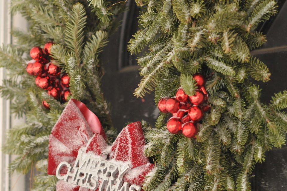 Christmas trees 2