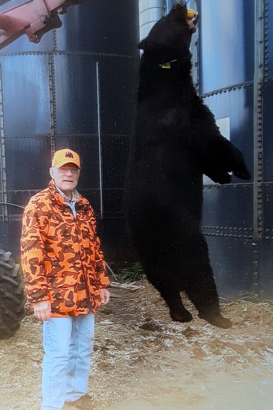 In October 2024, Luke Hess of Willow Street, PA harvested this 460-pound black bear near the PA Grand Canyon, in Wellsboro.