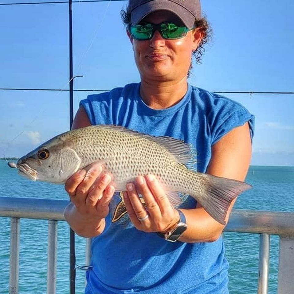 Catch 3
