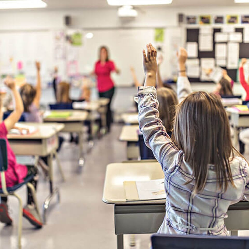 School cleaning services