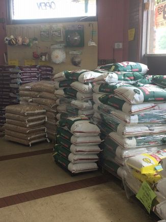 Bulk bird seed