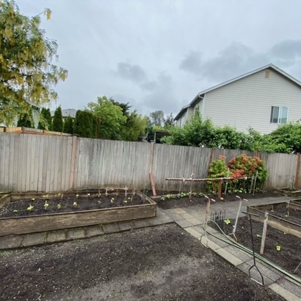 Image0