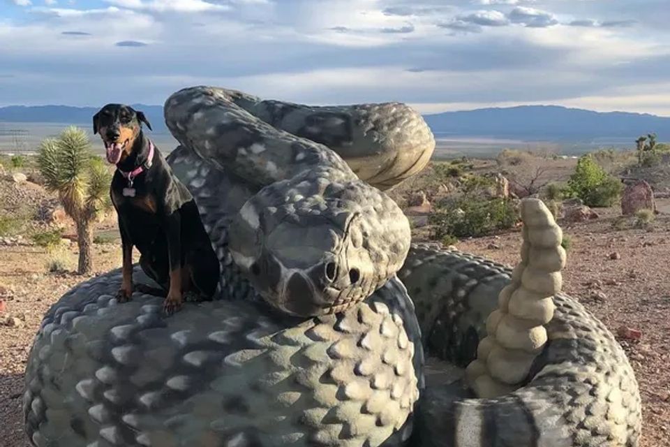 Dog with snake original