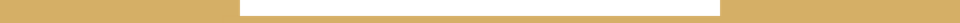 Divider 1