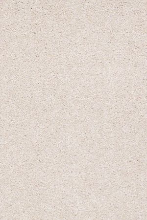 Timeless appeal iii 12'   pudding  5.99