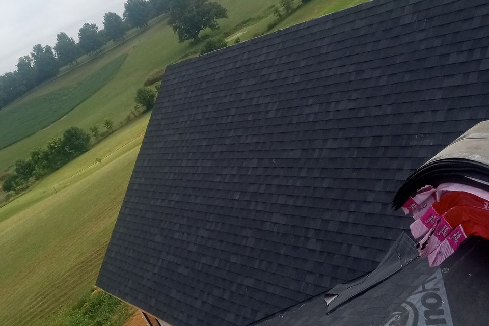 1000031163