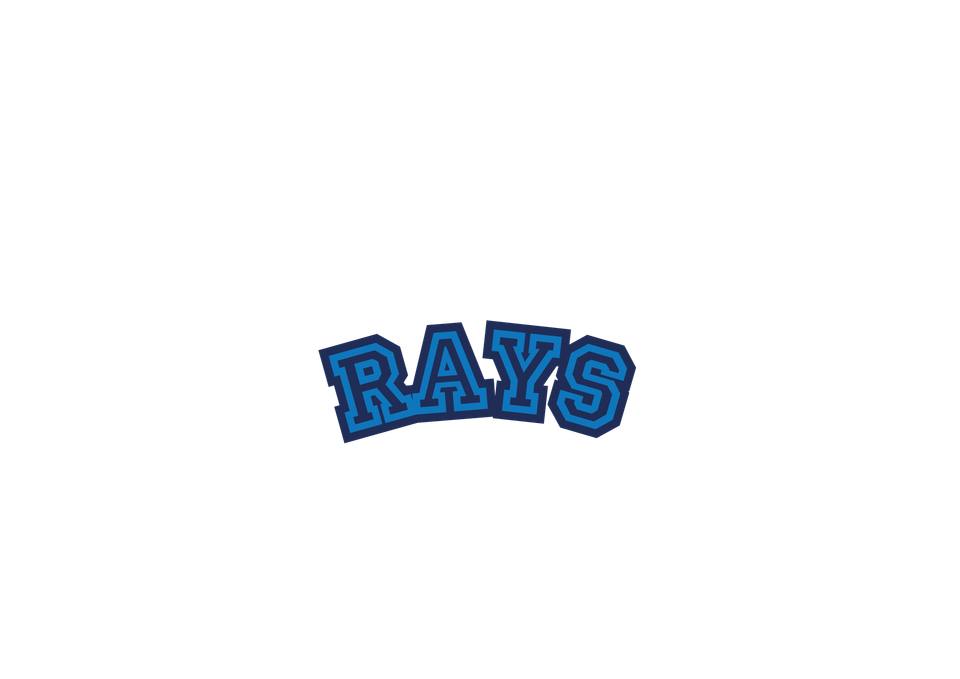 Sports   baseball rays name