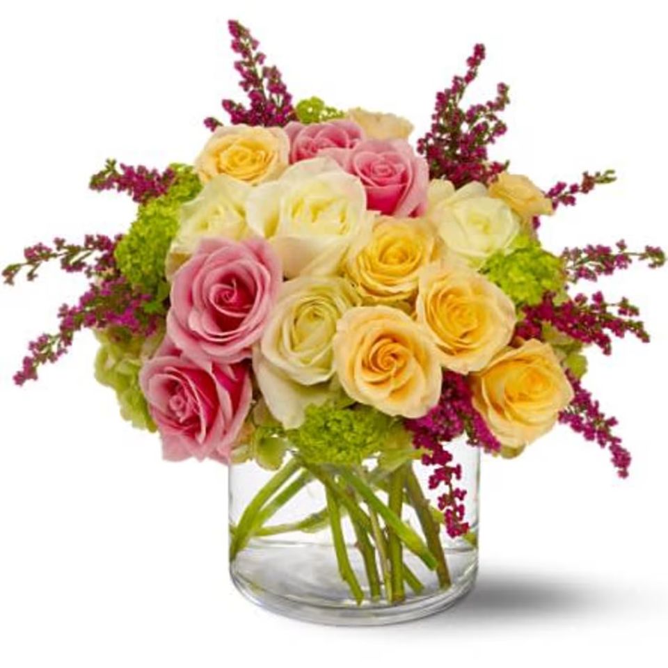 20141106061850 file 545b12cad1752 657e22afb0c70