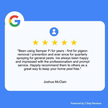 Josh 5 star review