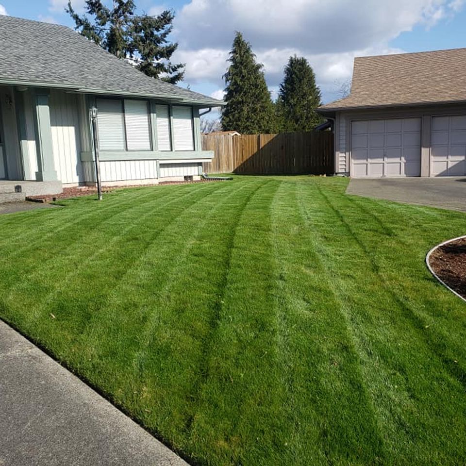 172380193 753644245336977 6936777577995980778 n original