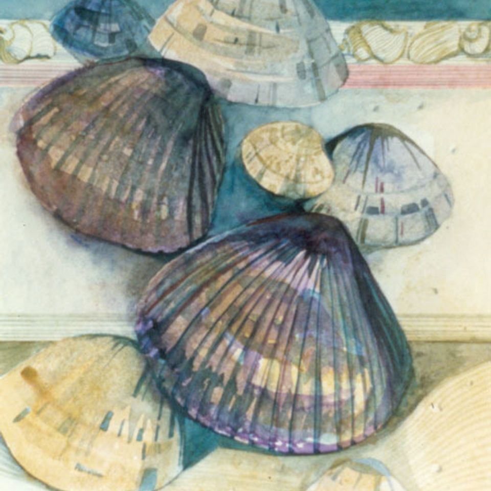 Pismo clams