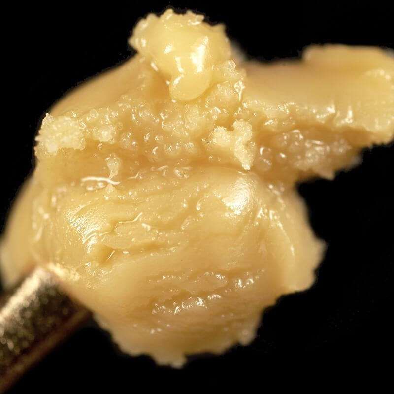 Maven gelato live resin badder 1g