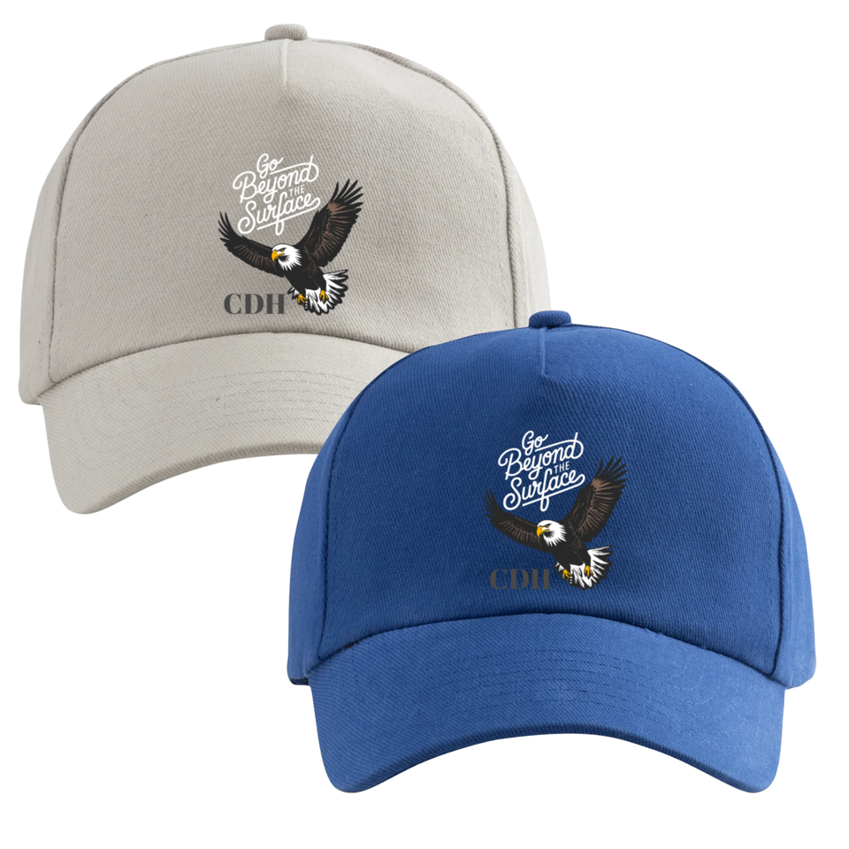 Eagles merch designs .zip   4