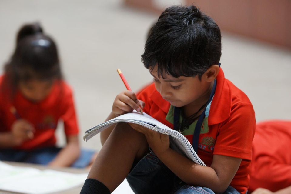 Young boy focusing on school work 