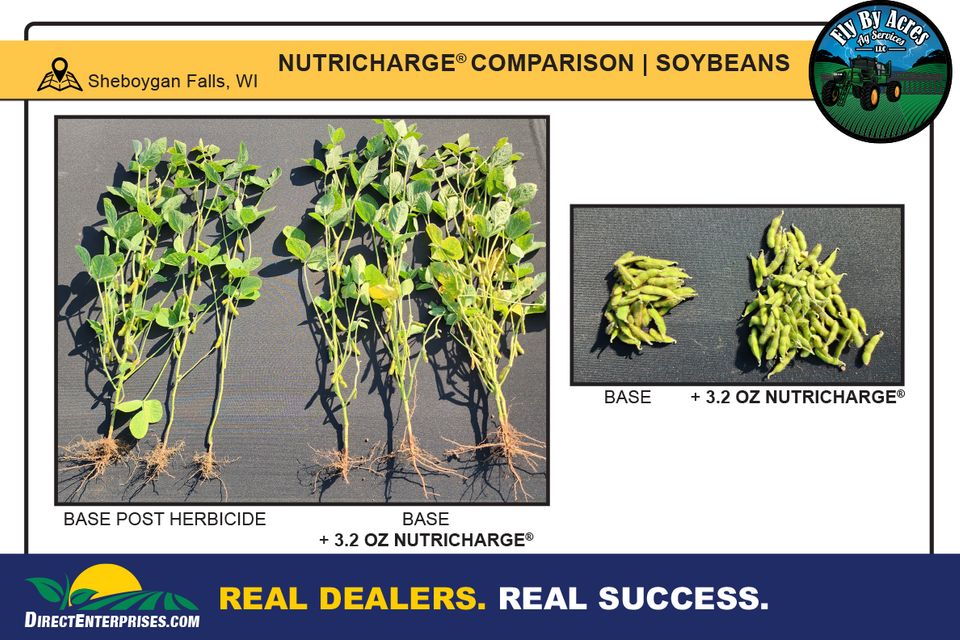 Fly by storyboards 20251230 3