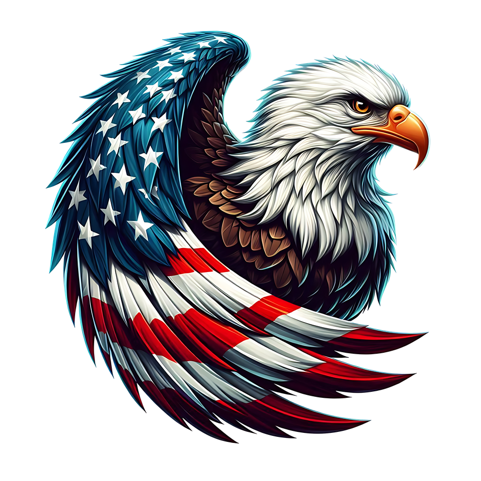 Patriotic   eagle with flag 12 3