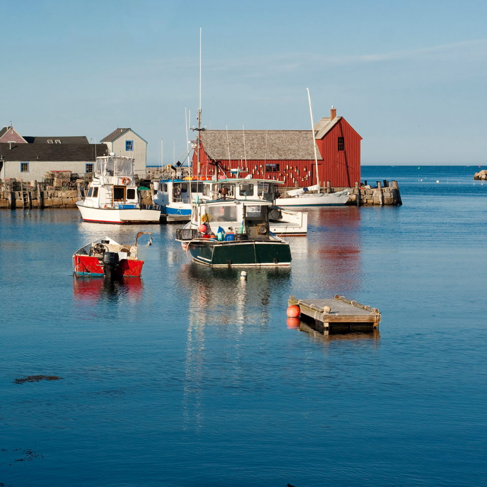 Picture of sandwich  ma