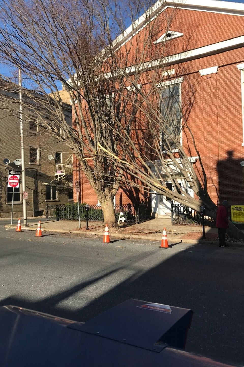 Tree removal thumbnail img 3261