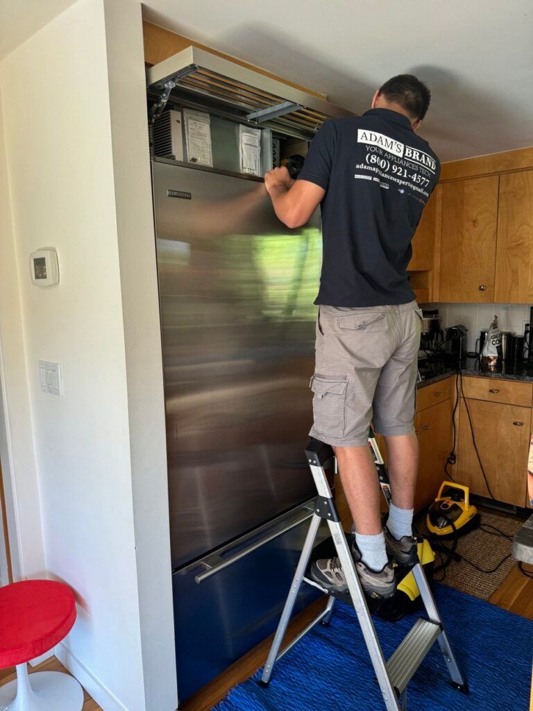 Photo 2024 08 28 01 11 21 768x1024