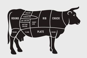 Basic beef cuts 1