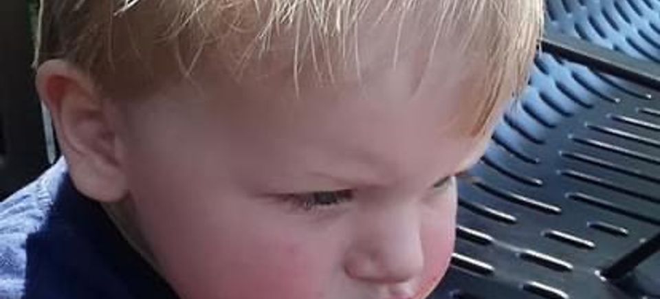 Img 1363