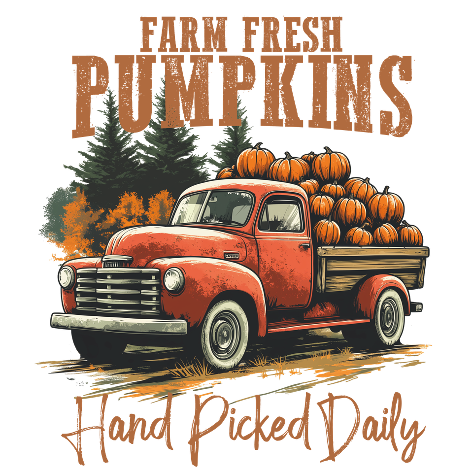 Seasons   fall   farm fresh pumpkins hand picked daily