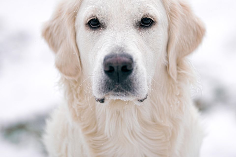 Brian stalter  adyb5gr8li unsplash
