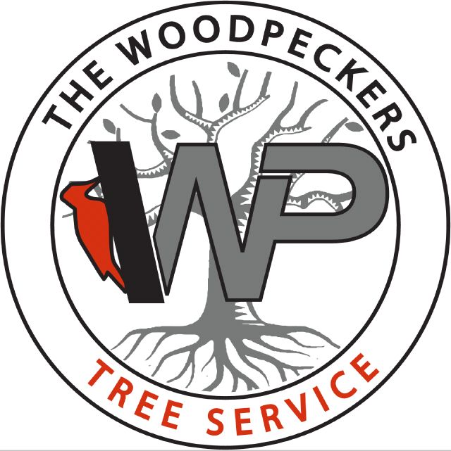 The WoodPeckers Tree Service LLC