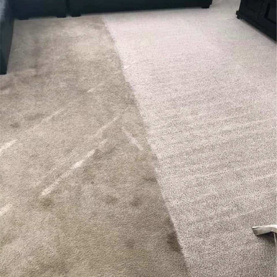Before and After Carpet Cleaning in Nampa Idaho