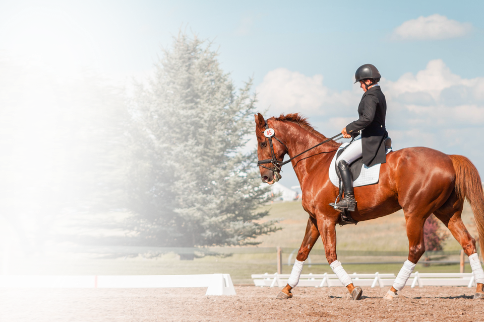 Horse riding hero
