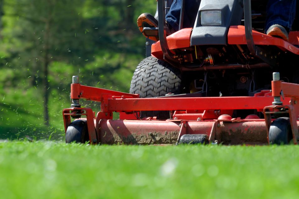 Lawn Mowing