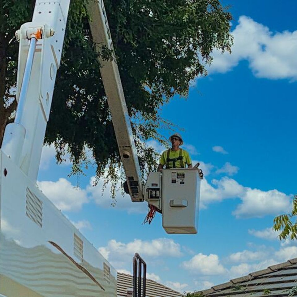 Licensed tree specialist using a high-reach extension truck for precision canopy pruning – Bud’s Tri-County Tree Services Inc. – Licensed #785788
