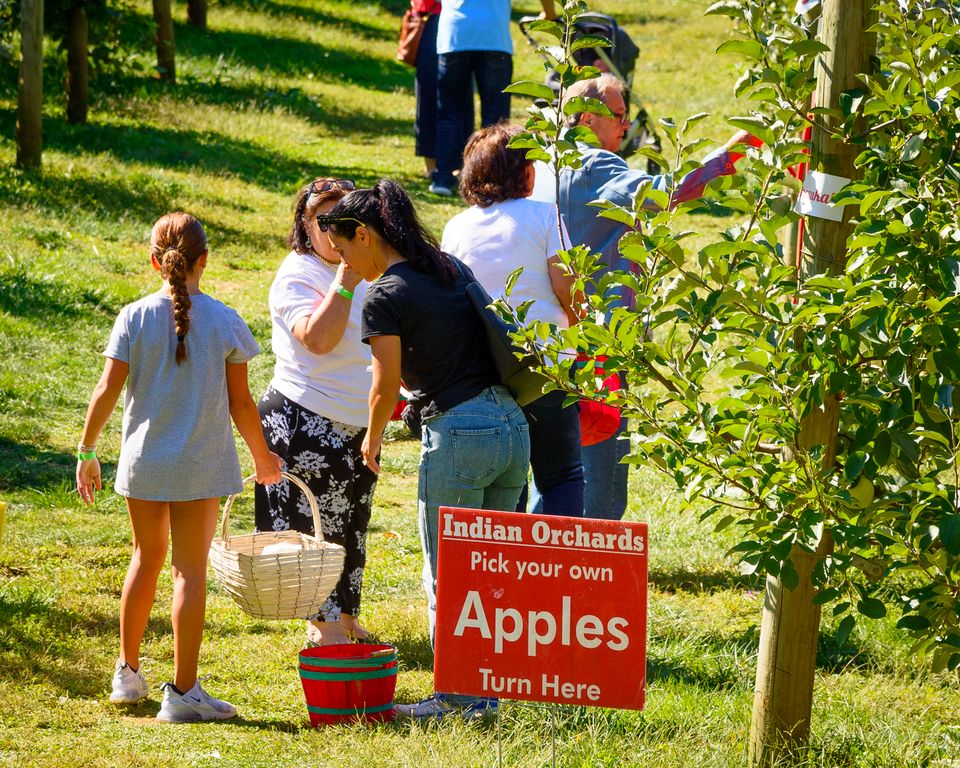 082 moskowphoto©2024