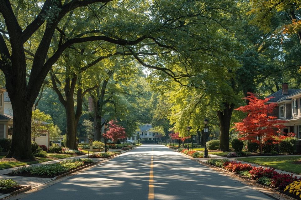 Living in avon  ct means enjoying scenic roads  wooded neighborhoods  and the beauty of mature oaks  maples  and ornamentals that frame homes and estates throughout the area.