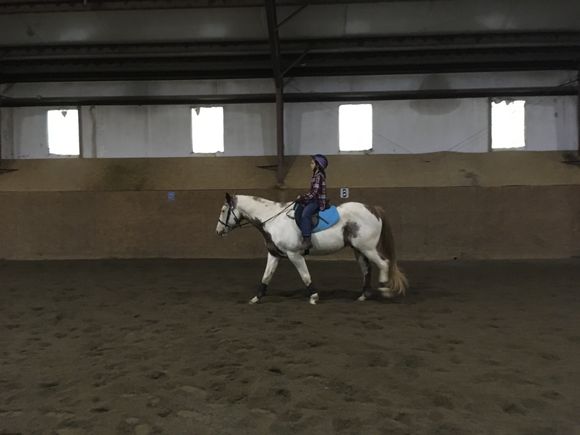 Img 2964