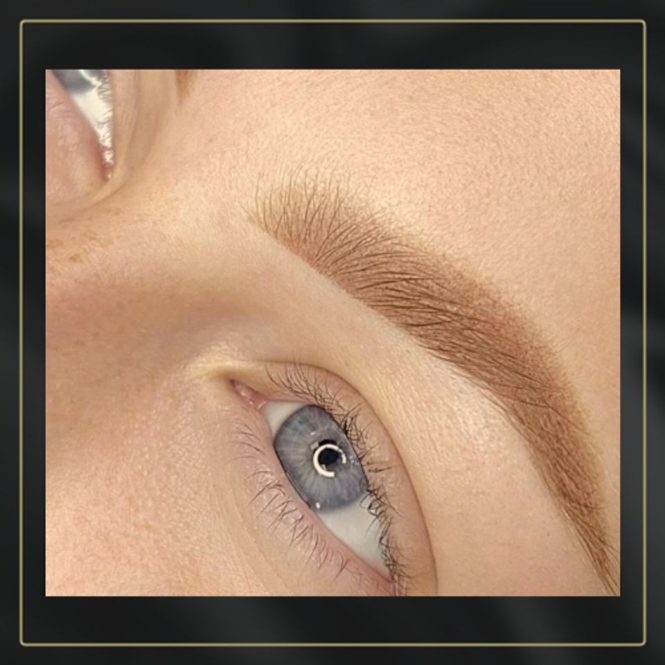 04 top of brow same as home page