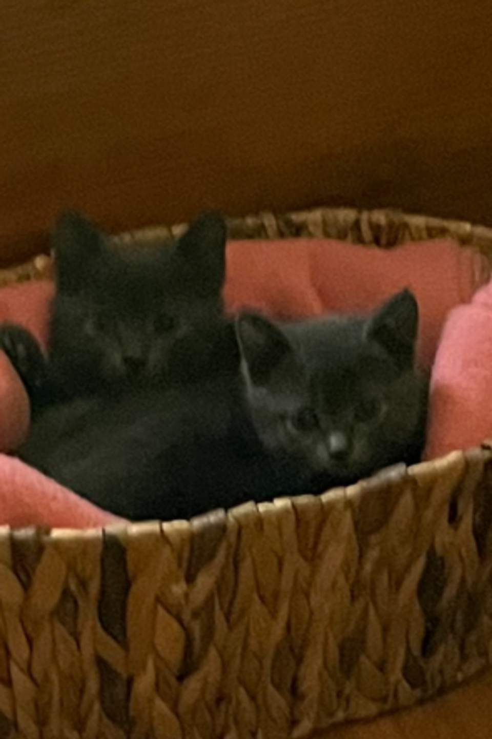 Smokeyandstormy