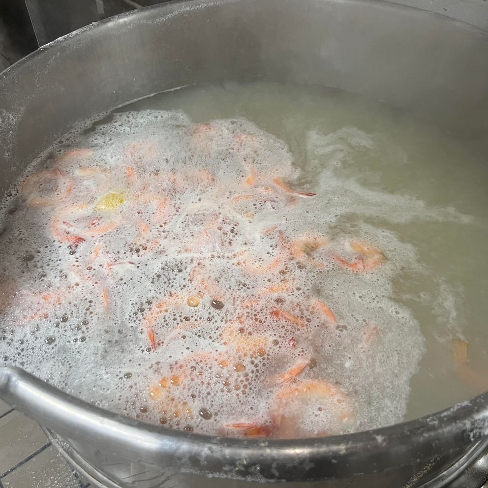 Shrimp feed prep 5