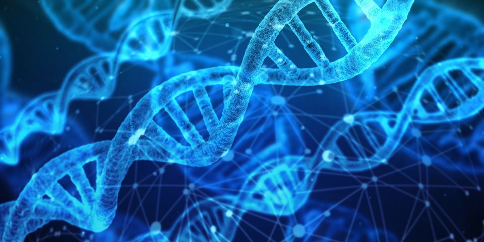 Dna gca7a37848 1920