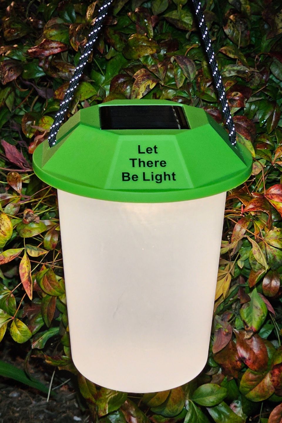 2024 03 26 let thetre be light (003)