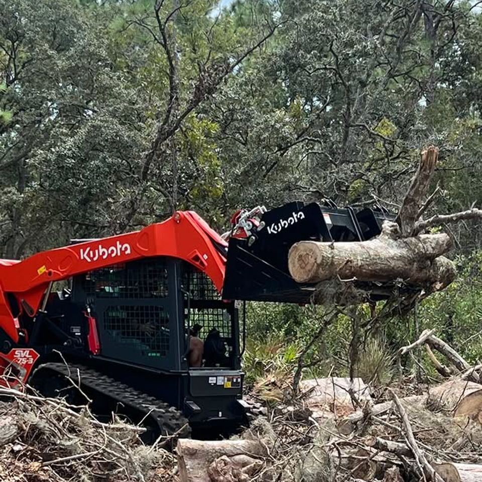 640407820 18037910039563791 7212991762688067691 n.