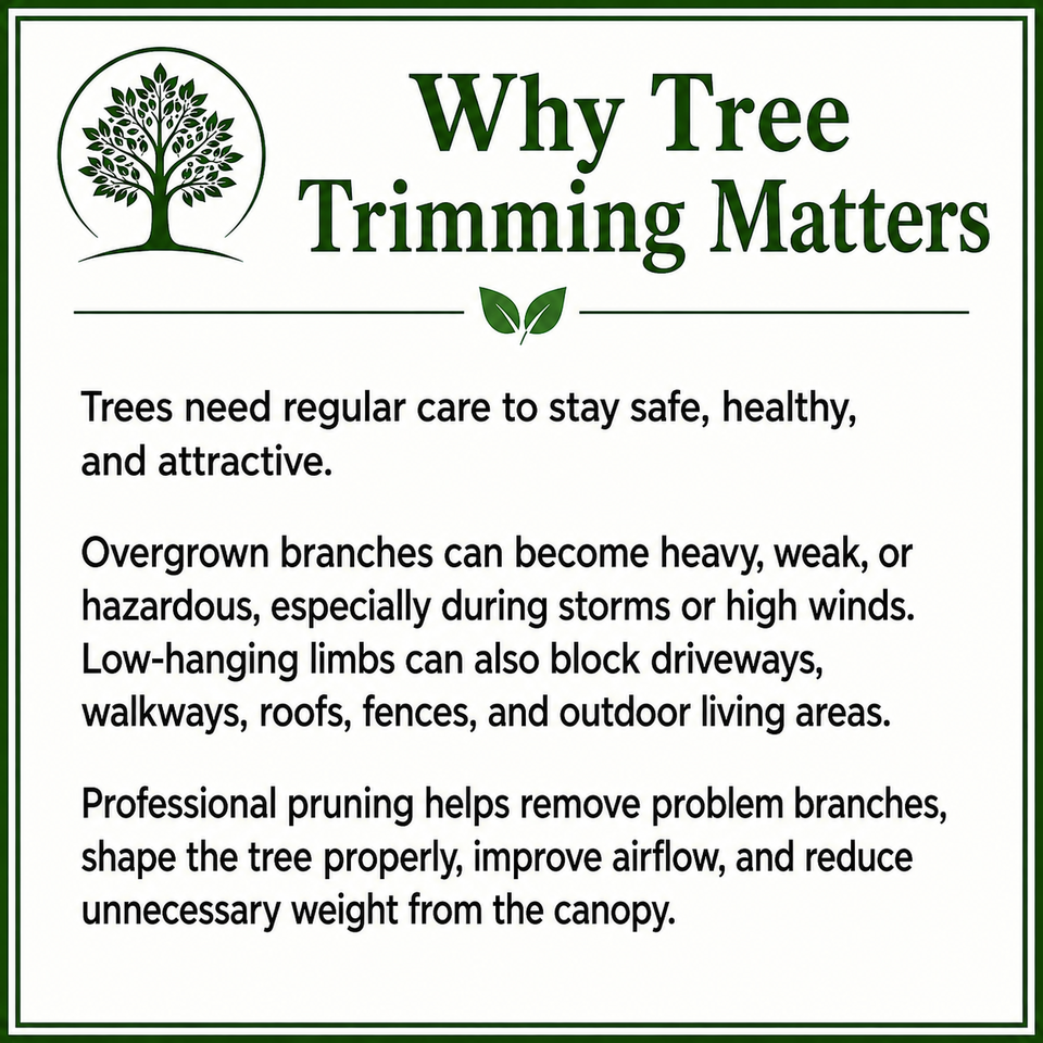 Why Tree Trimming Matters El Dorado county