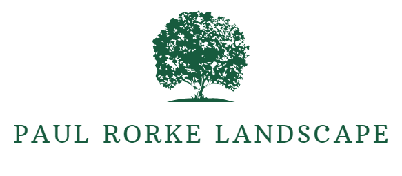 Paul Rorke Landscape