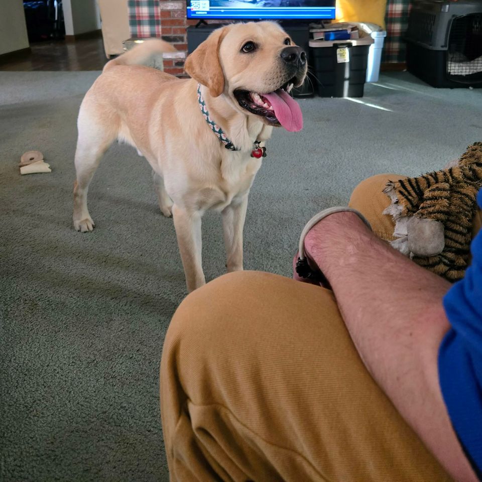 Messenger creation e7baf168 d395 4dfe b21a 1450ca681fd6